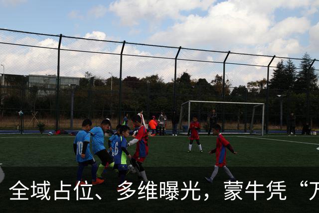 全域占位、多维曝光，蒙牛凭“万全之计”拿下世界杯
