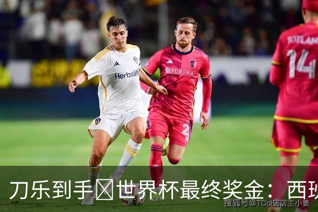 刀乐到手🤑世界杯最终奖金：西班牙夺冠获5000万，阿根廷3300万