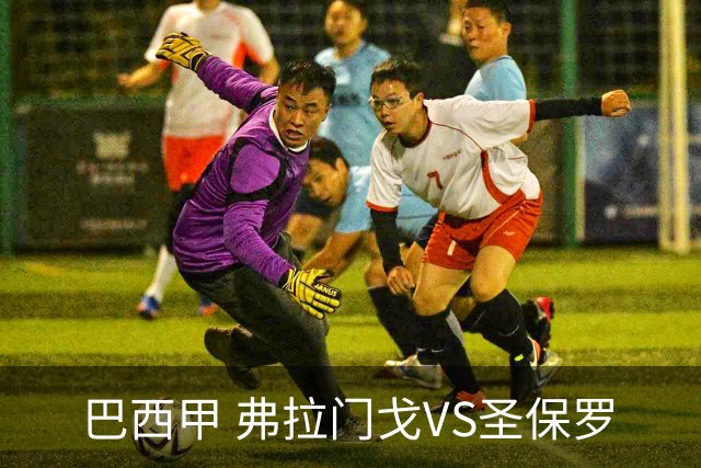 巴西甲 弗拉门戈VS圣保罗