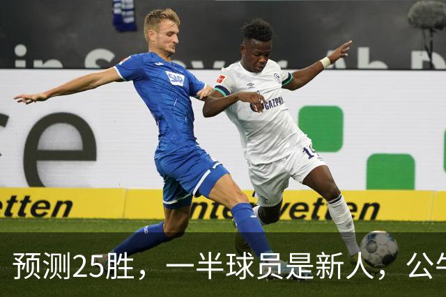 预测25胜，一半球员是新人，公牛重建模式开启